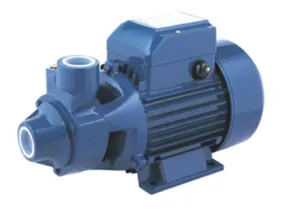 AIKO 1x1 0.5HP 240V Centrifugal Water Pump | Model : WP-A-PKM60