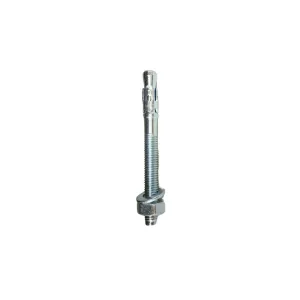 Aiko Wedge Anchor M10X100 | Model : WA-A10100