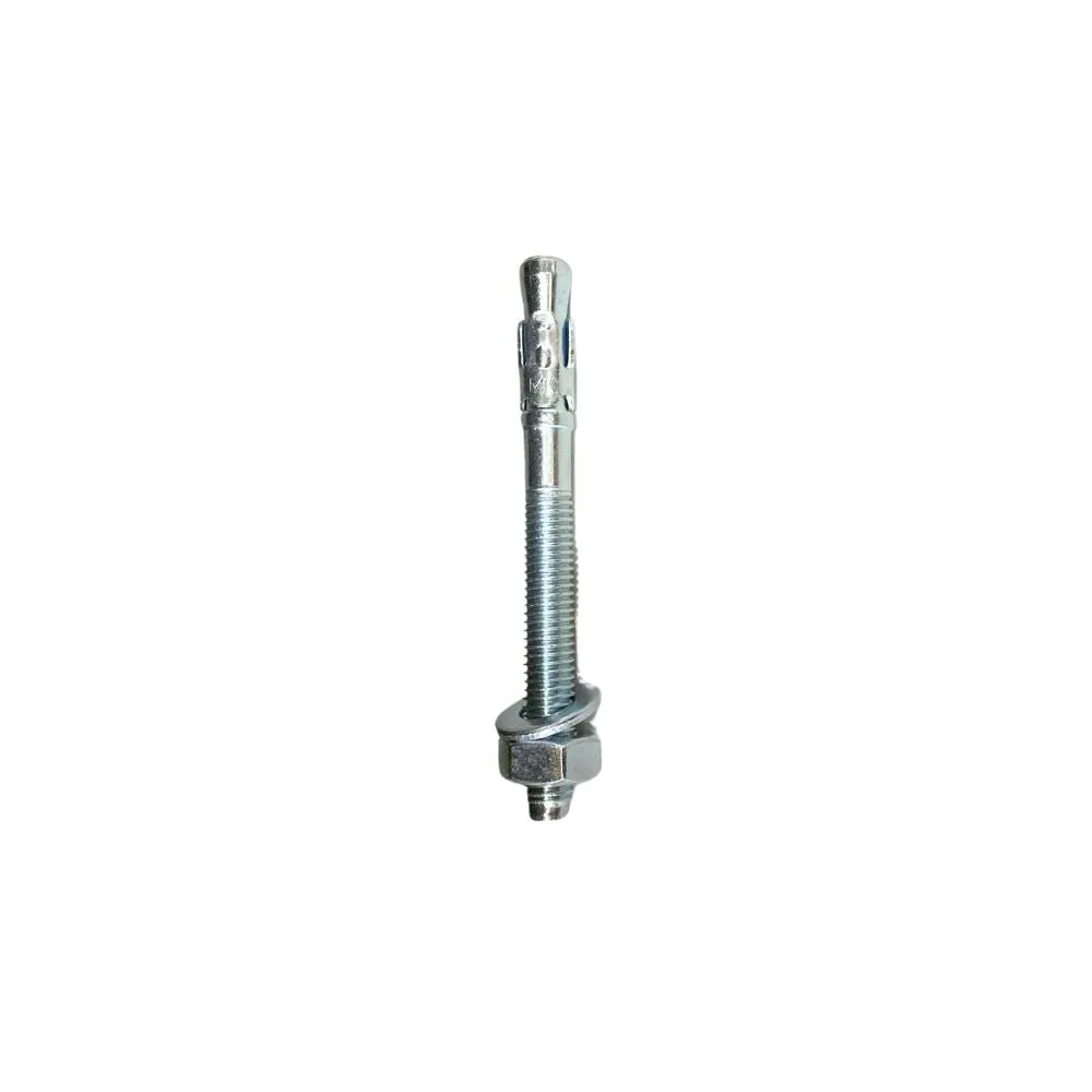 Aiko Wedge Anchor M10X100 | Model : WA-A10100
