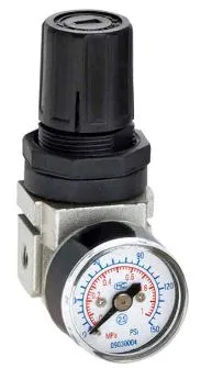 XCPX Air Regulator  | Model : AF-XAR